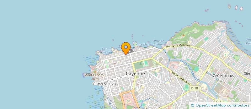 localisation de l'entreprise MONSIEUR JOEL ELFORT  CAYENNE