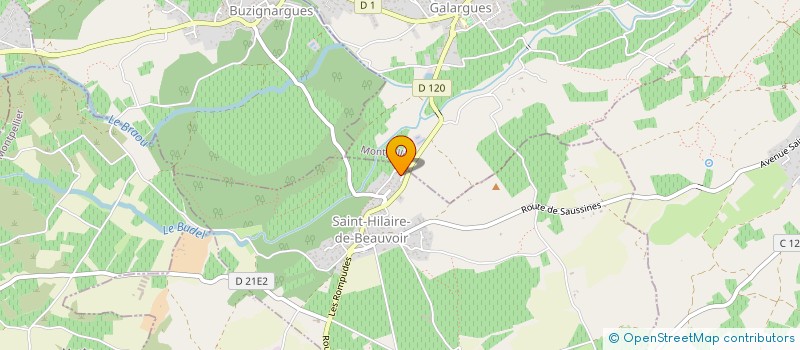 localisation de l'entreprise MONSIEUR JOEL GODENIR  SAINT-HILAIRE-DE-BEAUVOIR