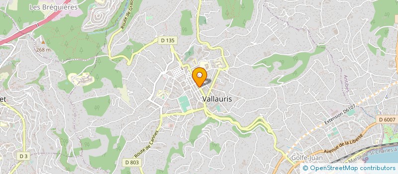 localisation de l'entreprise MONSIEUR JOEL GREGO  VALLAURIS
