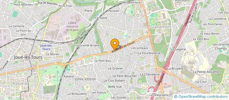 localisation de l'entreprise MONSIEUR JOEL LEBOUGRE  JOUE-LES-TOURS