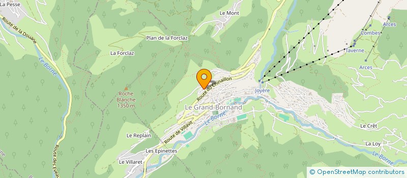 localisation de l'entreprise MONSIEUR JOEL MANCOIS  LE GRAND-BORNAND