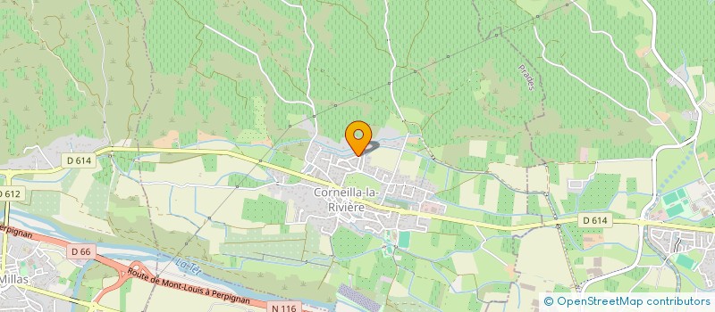 localisation de l'entreprise MONSIEUR JOEL PLAS  CORNEILLA-LA-RIVIERE