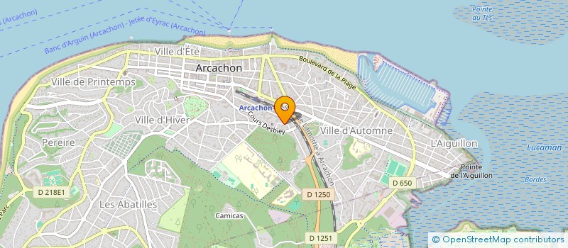 localisation de l'entreprise MONSIEUR JOEL QUEVA  ARCACHON