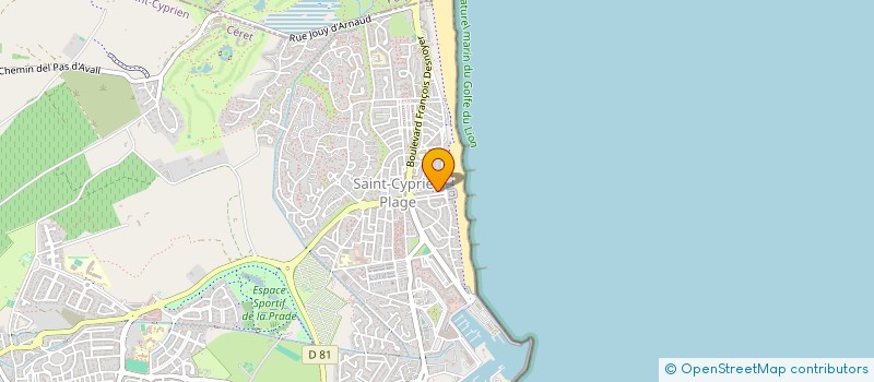 localisation de l'entreprise MONSIEUR JOEL RALYS  ST CYPRIEN