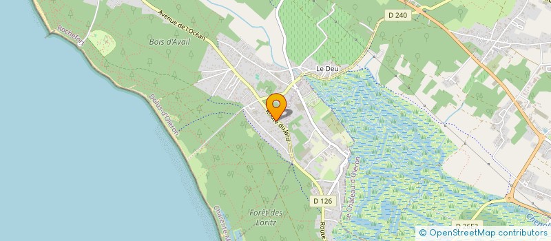 localisation de l'entreprise MONSIEUR JOEL REINDERS  DOLUS-D'OLERON