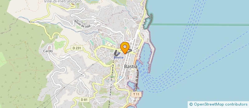 localisation de l'entreprise MONSIEUR JOEL REISINGER à BASTIA