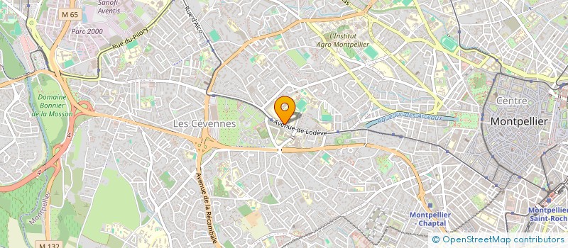 localisation de l'entreprise MONSIEUR JOEL REPESSE à MONTPELLIER