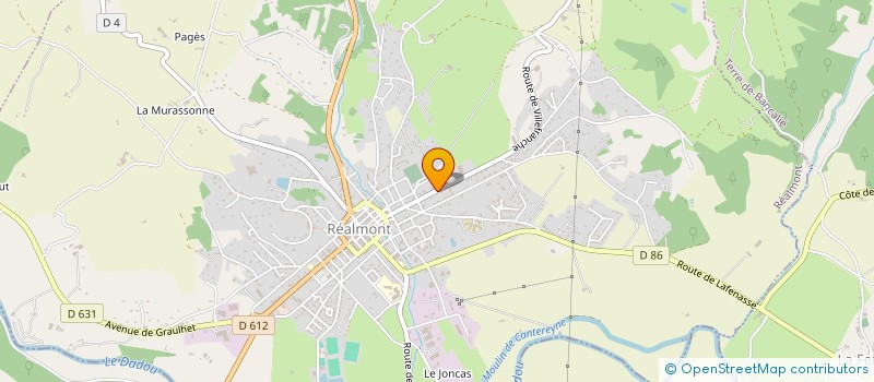 localisation de l'entreprise MONSIEUR JOEL SEVERAC  REALMONT