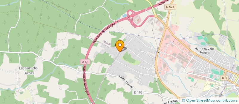 localisation de l'entreprise MONSIEUR JOEL SINICO  LIGNAN-DE-BAZAS