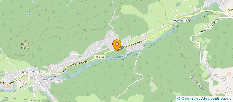 localisation de l'entreprise MONSIEUR JOEL TASSOTTO  MOYENMOUTIER