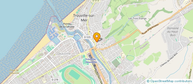 localisation de l'entreprise MONSIEUR JOEL TERRIER à TROUVILLE-SUR-MER