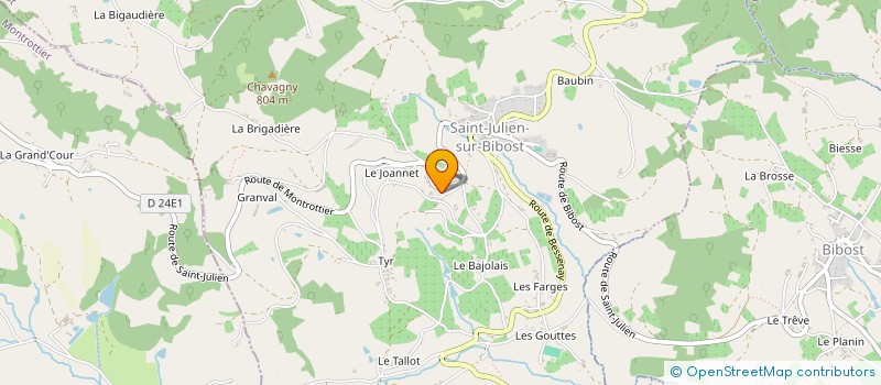 localisation de l'entreprise MONSIEUR JOEL THOINET  SAINT-JULIEN-SUR-BIBOST