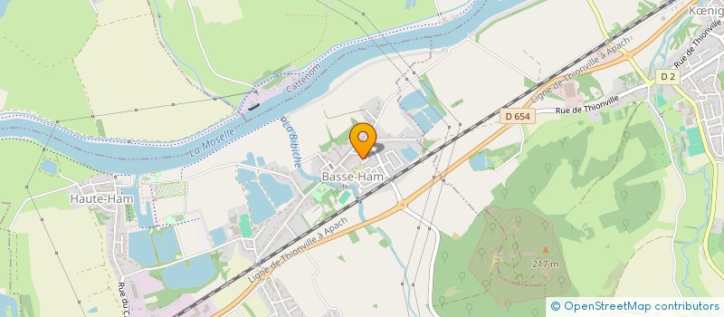 localisation de l'entreprise MONSIEUR JOEL THOMAS  ELZANGE