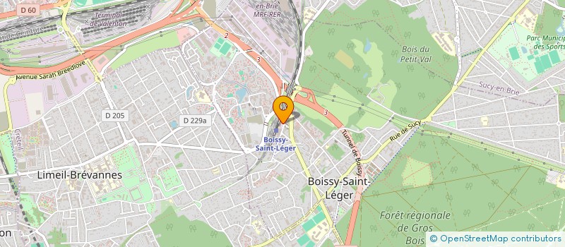 localisation de l'entreprise MONSIEUR JOEL TIENTCHEU à BOISSY-SAINT-LEGER