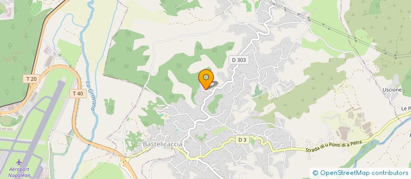 localisation de l'entreprise MONSIEUR JOEL VINCENT  BASTELICACCIA