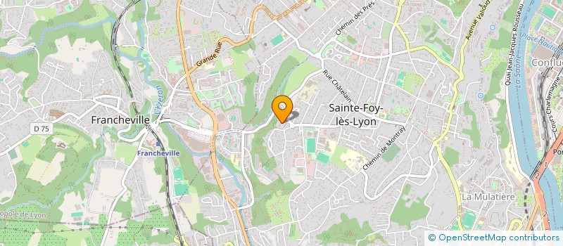 localisation de l'entreprise MONSIEUR JOEY DUEZ  SAINTE-FOY-LES-LYON