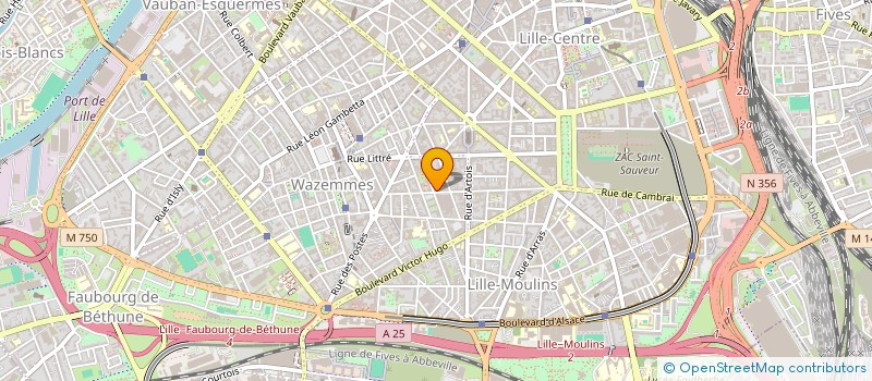 localisation de l'entreprise MONSIEUR JOFFREY BRISSEUX à LILLE