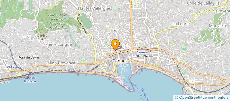 localisation de l'entreprise MONSIEUR JOHAN DOLVEN  CANNES