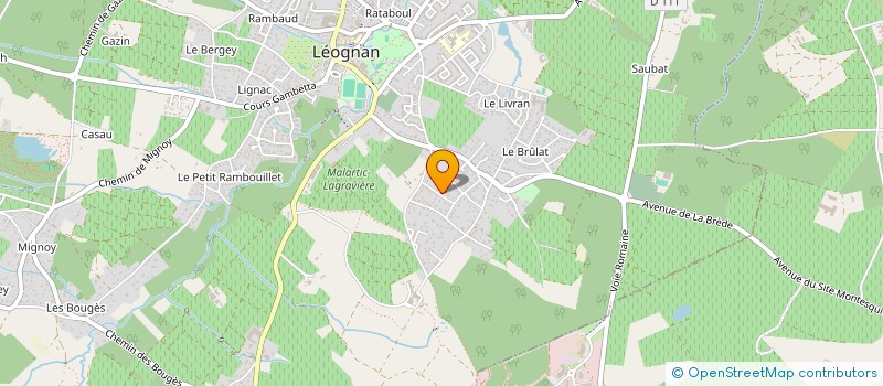 localisation de l'entreprise MONSIEUR JOHAN DOS SANTOS  LEOGNAN