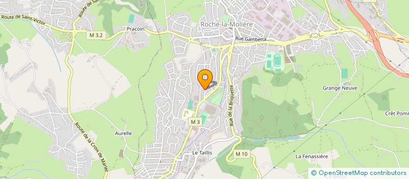 localisation de l'entreprise MONSIEUR JOHAN LOUBET DEL BAYLE  ROCHE-LA-MOLIERE