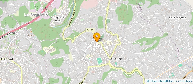 localisation de l'entreprise MONSIEUR JOHAN OLIVE  VALLAURIS