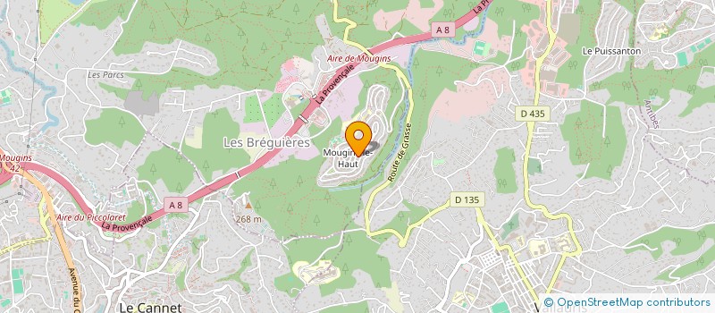 localisation de l'entreprise MONSIEUR JOHAN RESTREPO GALLEGO à MOUGINS