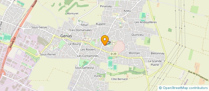 localisation de l'entreprise MONSIEUR JOHAN RIVERA-GIL  GENAS