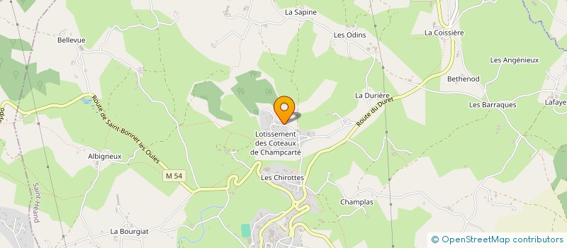 localisation de l'entreprise MONSIEUR JOHAN THEVENON  SAINT-HEAND