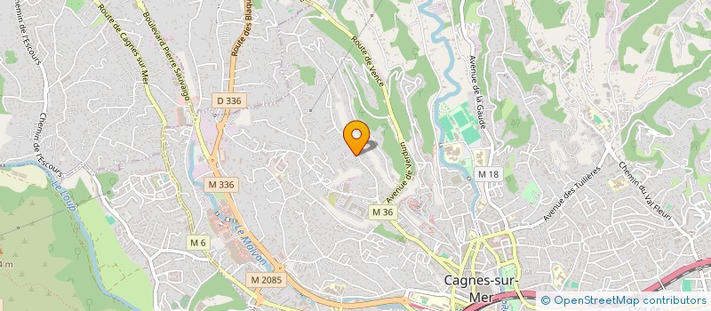 localisation de l'entreprise MONSIEUR JOHANN DUCHESNE  CAGNES-SUR-MER