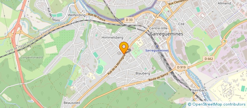 localisation de l'entreprise MONSIEUR JOHANN HASSLI  SARREGUEMINES