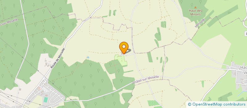 localisation de l'entreprise MONSIEUR JOHANN HERRSCHER  CHATEL-SUR-MOSELLE