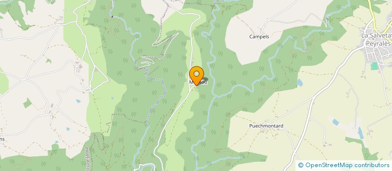 localisation de l'entreprise MONSIEUR JOHANN MANDROUX  LA SALVETAT-PEYRALES