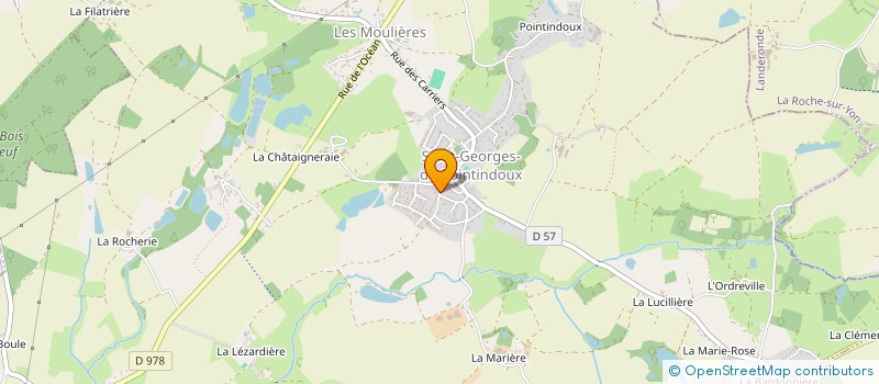 localisation de l'entreprise MONSIEUR JOHANN MASSE  SAINT-GEORGES-DE-POINTINDOUX