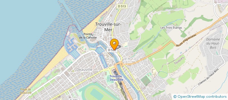localisation de l'entreprise MONSIEUR JOHANN REMER à TROUVILLE-SUR-MER