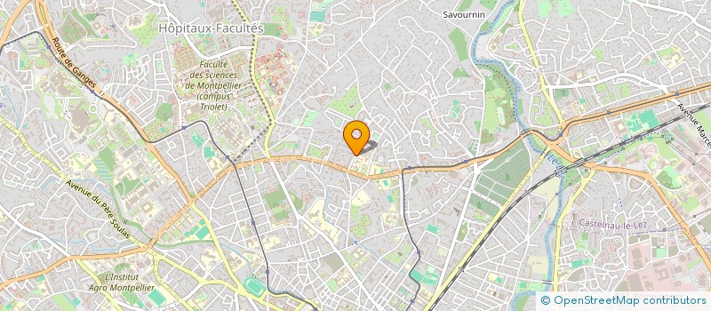 localisation de l'entreprise MONSIEUR JOHANNES MEIER à MONTPELLIER