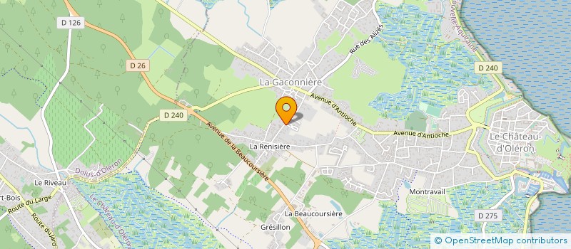 localisation de l'entreprise MONSIEUR JOHANY LANNELUC  LE CHATEAU-D'OLERON