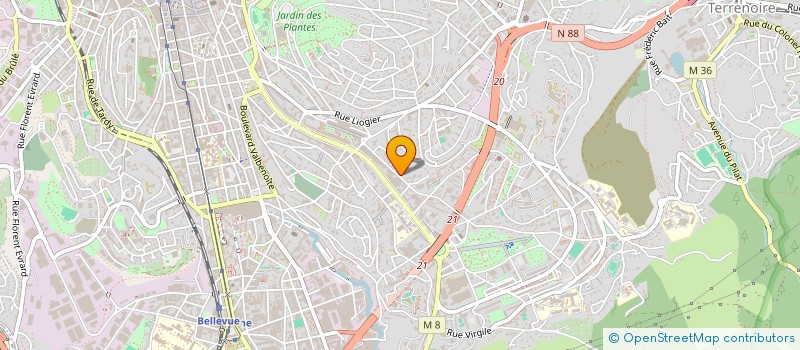 localisation de l'entreprise MONSIEUR JOHN ANTHONY  SAINT-ETIENNE