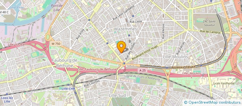 localisation de l'entreprise MONSIEUR JOHN CAPPON à LILLE