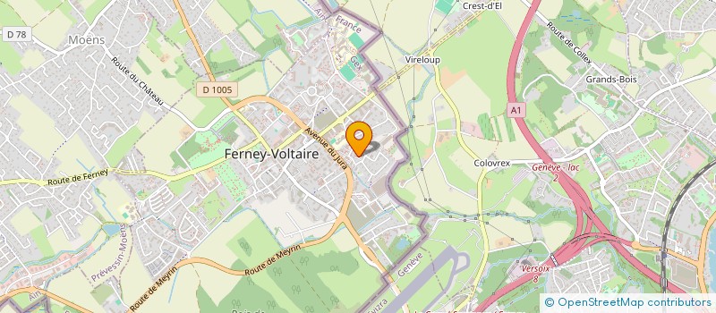 localisation de l'entreprise MONSIEUR JOHN KAMALY à FERNEY-VOLTAIRE