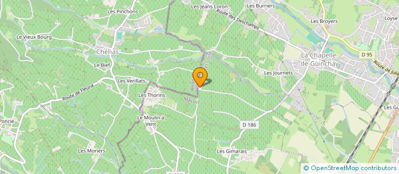 localisation de l'entreprise MONSIEUR JOHN RATIGNIER  ROMANECHE-THORINS