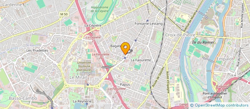 localisation de l'entreprise MONSIEUR JOHNIS JOHN MARY  TOULOUSE