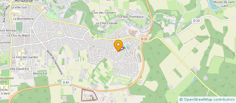 localisation de l'entreprise MONSIEUR JOHNNY LINTE à AMBOISE