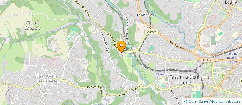 localisation de l'entreprise MONSIEUR JOHNNY MELLARD  TASSIN-LA-DEMI-LUNE