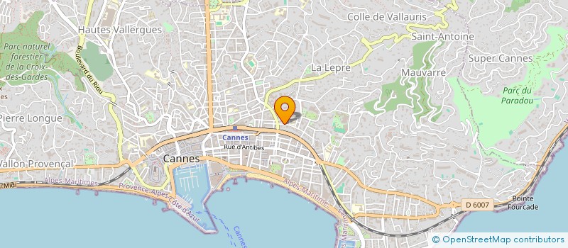 localisation de l'entreprise MONSIEUR JOHNSON ARULAPPU à CANNES