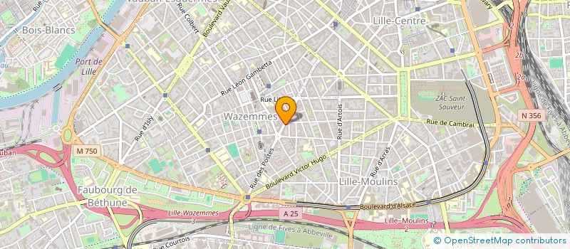 localisation de l'entreprise MONSIEUR JONATHAN AWANDI à LILLE