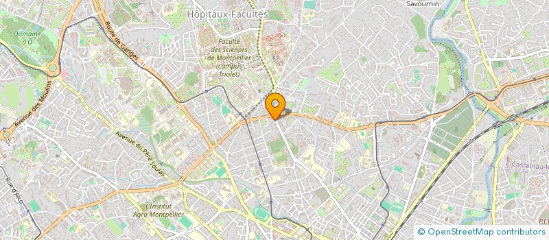 localisation de l'entreprise MONSIEUR JONATHAN CAMILLERI à MONTPELLIER