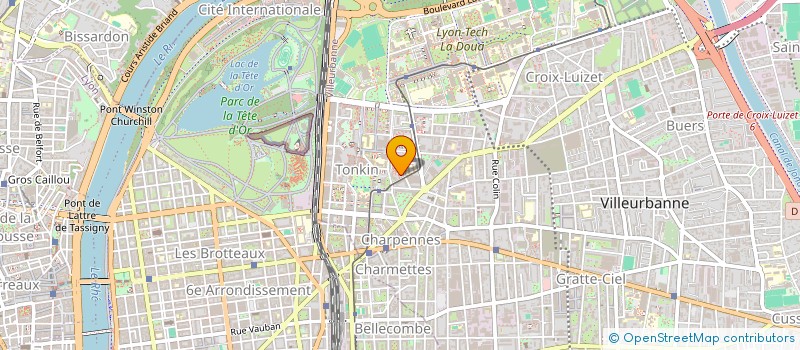 localisation de l'entreprise MONSIEUR JONATHAN DUMONT  VILLEURBANNE