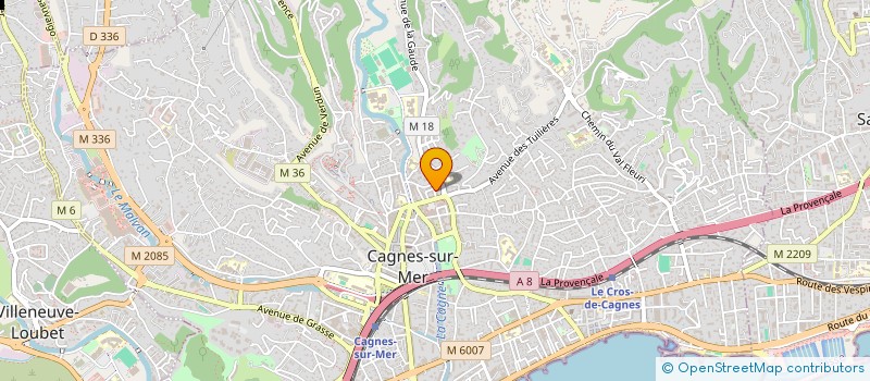 localisation de l'entreprise MONSIEUR JONATHAN MARTIN à CAGNES SUR MER