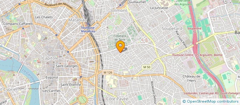localisation de l'entreprise MONSIEUR JONATHAN MCINTOSH à TOULOUSE