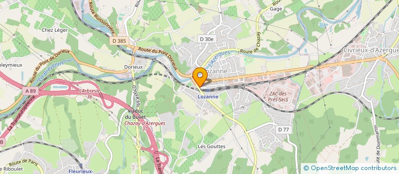 localisation de l'entreprise MONSIEUR JONATHAN MERTENS  CHAPONOST